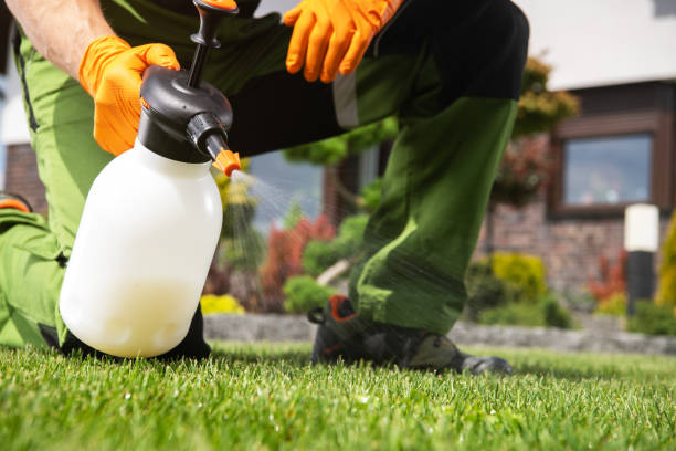 Best Termite Control Services  in Bristol, VA