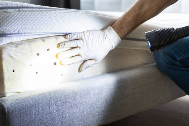 Bristol, VA Pest Control Company
