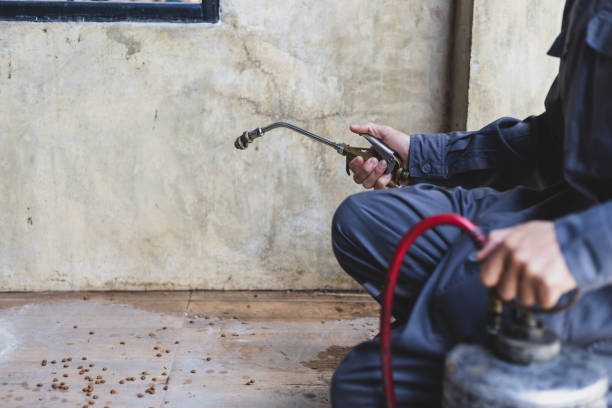 Best Pest Removal Services  in Bristol, VA